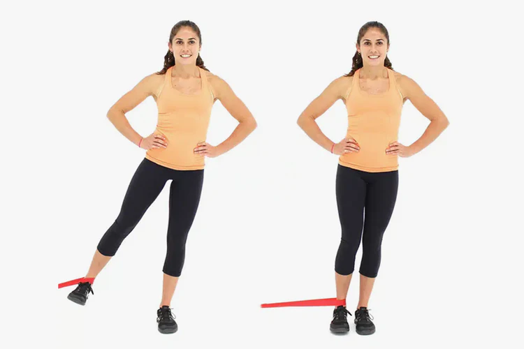  Hip Adduction