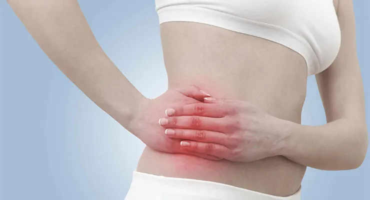 Appendix